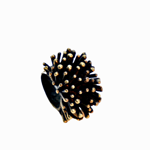 Blowfish Bronze Ring